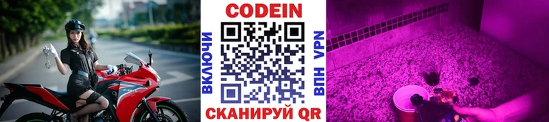 OMG ONION Курчалой Кодеиновый сироп Lean Purple Drank