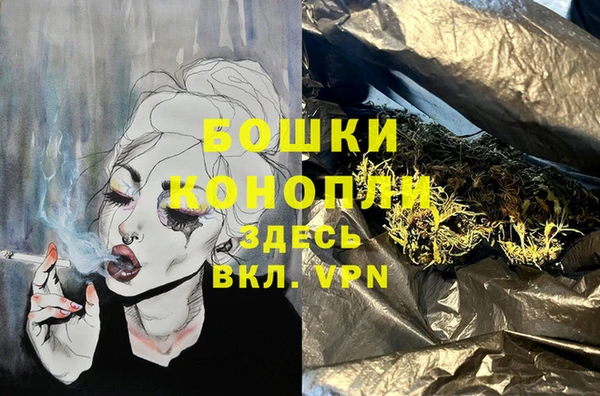 индика Краснослободск
