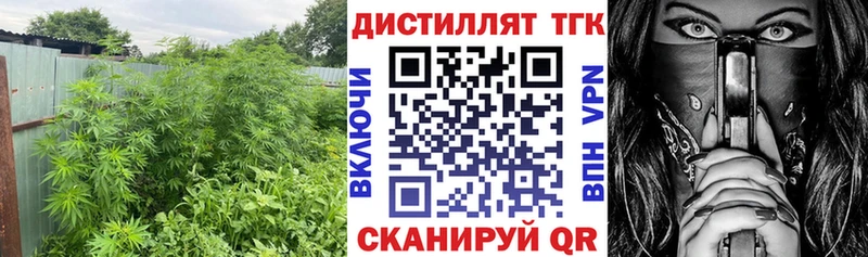ТГК вейп Курчалой